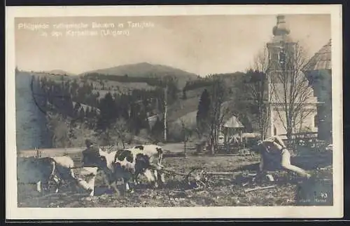AK Tarujfalu /Karpathen, Ortspartie mit pflügenden Bauern und Kirche
