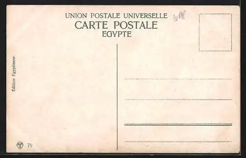 AK Caire, La Citadelle