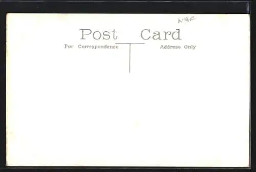 AK Cairo, Flood Time near Pyramids