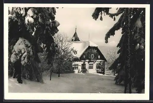 AK Schutzhütte am Andreasberg, Berghütte und Tannen im Winter