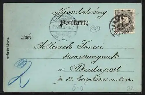 Mondschein-Lithographie Hofkirchen i. Mühlkreis, Gasthaus zur Post, Pfarrkirchen, Ruine Falkenstein