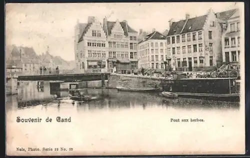 AK Gand, Pont aux herbes, Panorama