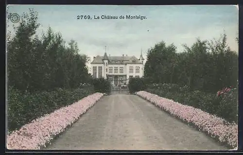 AK Montaigu, Chateau de Montaigu