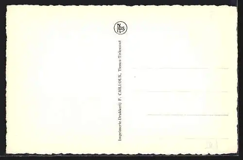 AK Tienen, Instituut Beauduin