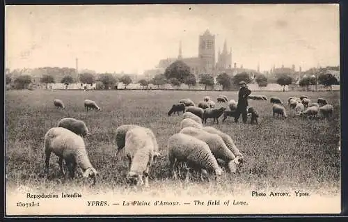 AK Ypres, La Plaine d`Amour