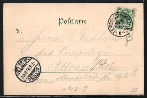 Künstler-Lithographie Bruno Bürger & Ottillie Nr. 284: Leipzig-Connewitz, Flottendemonstration, Knüppelbrücke