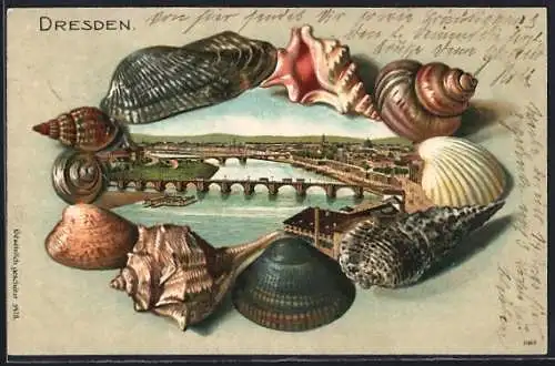 Passepartout-Lithographie Dresden, Elbe-Partie im Muschel-Passepartout