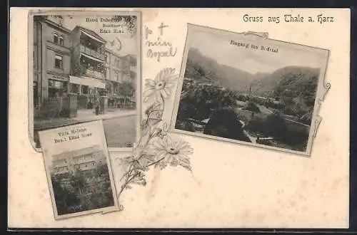 AK Thale a. Harz, Hotel Daheim und Villa Helene, Bes. Emil Rose