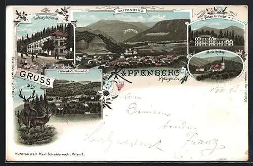 Lithographie Kapfenberg i. Mürzthal, Curhaus Steinerhof, Curhaus Fürstenhof, Ortsansicht