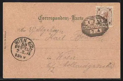 Lithographie Kapfenberg i. Mürzthal, Curhaus Steinerhof, Curhaus Fürstenhof, Ortsansicht