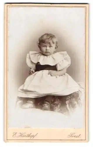Fotografie E. Hartkopf, Soest, Portrait eines kleinen Kindes