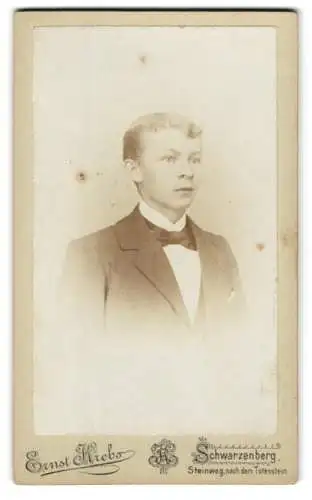 Fotografie Ernst Krebs, Schwarzenberg, Steinweg, Porträt eines jungen Mannes