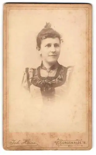 Fotografie Johann Heine, Georgswalde, Portrait einer Dame mit elegantem Kleid