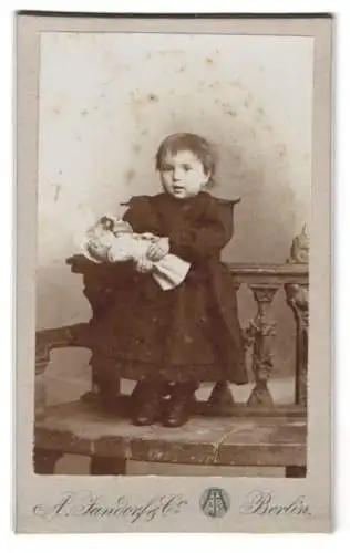 Fotografie A. Jandorf & Co., Berlin, Bellealliancestr. 1/2, Kind mit Puppe