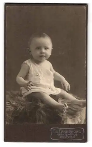 Fotografie Fr. Fennekohl, Geestemünde, Adolfstr. 8, Sitzendes Kleinkind auf Fell