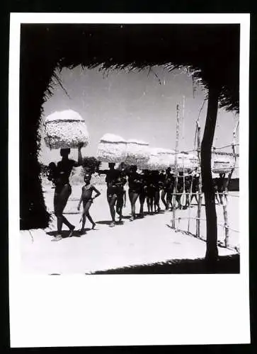 Fotografie Affaires Culturelles, Afrika / Senegal, Eingeborene tragen Ballen mit Baumwolle