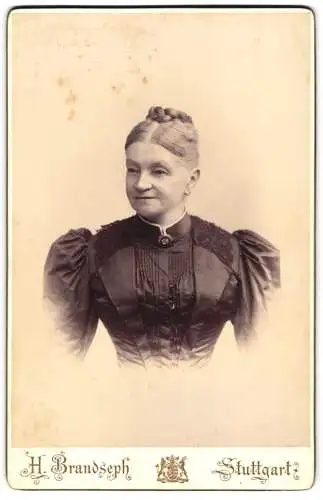 Fotografie H. Brandseph, Stuttgart, Marienstrasse 36, Ältere Dame im eleganten Kleid mit Brosche