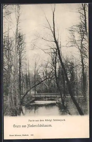 AK Berlin-Niederschönhausen, Partie aus dem Königl. Stadtpark