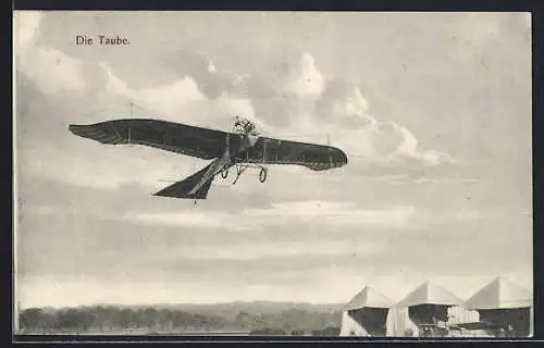 AK Flugzeug Taube in der Luft