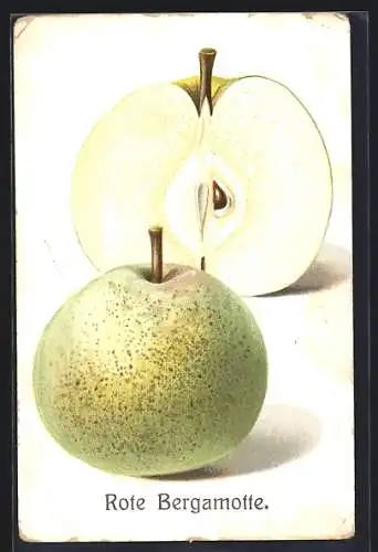 AK Rote Bergamotte, Obst