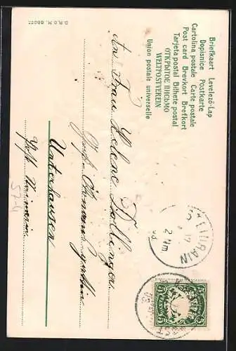 Präge-AK Weintrauben mit grüner Schleife