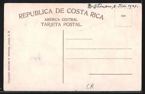 AK Vargas Park /Limon., Indian Laurel Trees