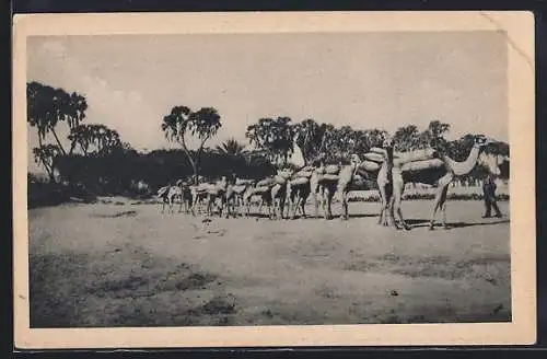 AK Eritrea, Carovana