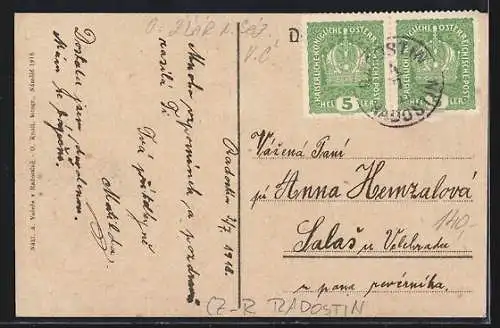 AK Radostin, Celkowy pohled