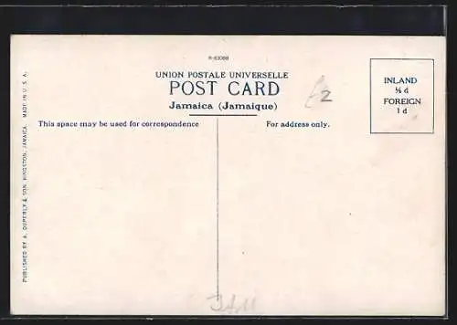 AK Kingston, Harbour, Boys Diving for Coins