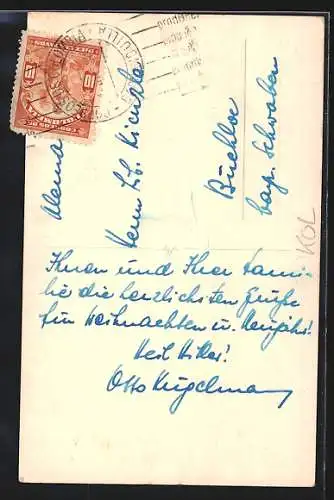 AK Soledad, Strassenpartie mit Palmen
