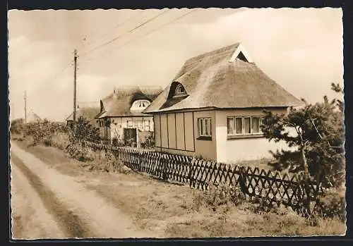 AK Dierhagen, Ostseebad, Strassenpartie im Urlauberdorf