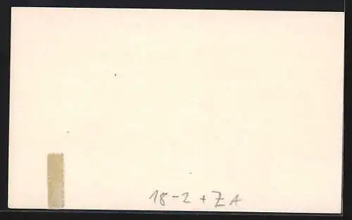 AK Bloemfontein, The Raadsaal, Ganzsache