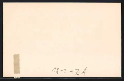 AK Noorth Transvaal, Road near Chunies Poort, Ganzsache