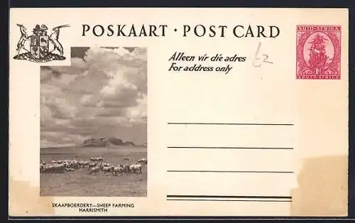AK Harrismith, Sheep Farming, Ganzsache