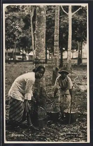 AK Singapore, Tapping Rubber, Forstwirtschaft