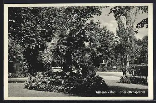 AK Altheide, Park mit Charlottensprudel