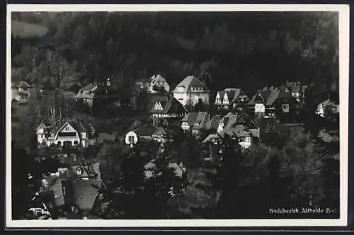 AK Bad Altheide, Teilansicht am Berghang