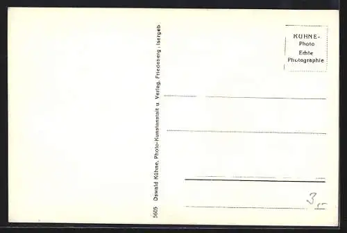 AK Bad Altheide, Teilansicht am Berghang