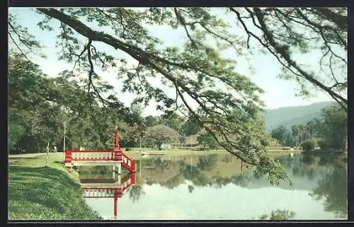 AK Taiping, Taiping Lake