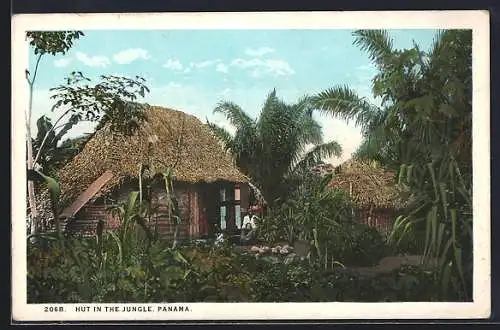 AK Panama, Hut in the Jungle