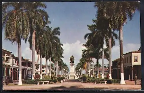 AK Colon, Avenida Central, un paseo de bellas palmas