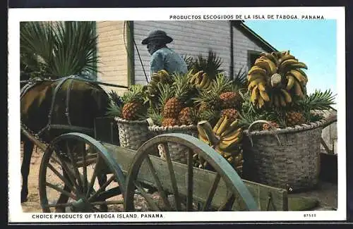 AK La Isla de Taboga, Productos escogidos