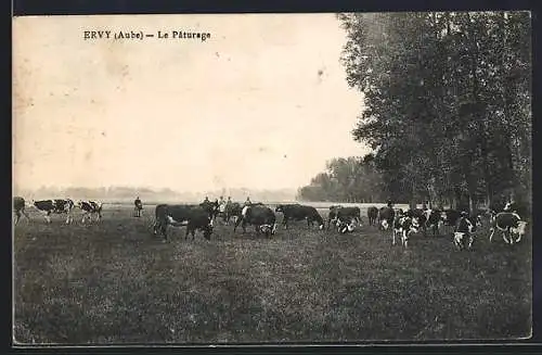 AK Ervy, Le Pâturage