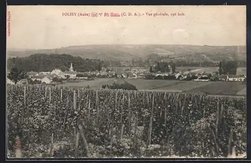 AK Polisy, Vue générale avec vignobles et paysage vallonné