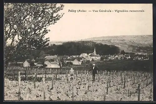 AK Polisy, Vue Générale, Vignobles renommés