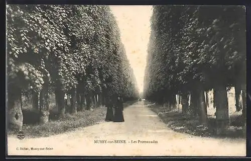 AK Mussy-sur-Seine, Les Promenades
