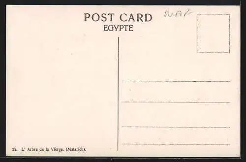 AK Mataria, Virgin`s Tree