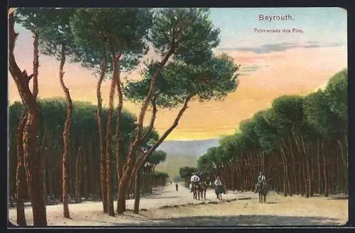 AK Beyrouth, Promenade des Pins