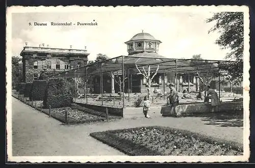 AK Deurne, Rivierenhof, Pauwenhok