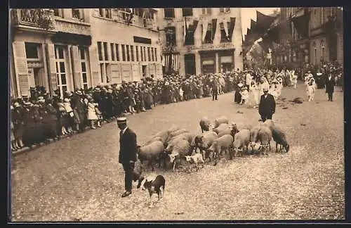 AK Hasselt, Jubelfeesten van het H. Sacrament van Mirakel 1804-1929